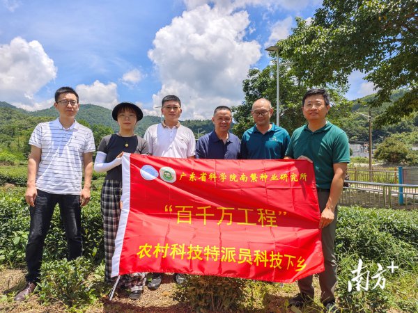 科技特派员团队看护“金叶子”，护航东源茶产业绿色发展
